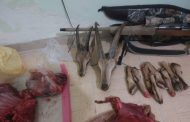دستگیری ۳ شکارچی متخلف در رفسنجان